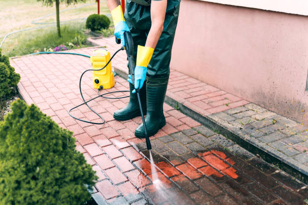 Animal Enclosure Cleaning in Hertford, NC